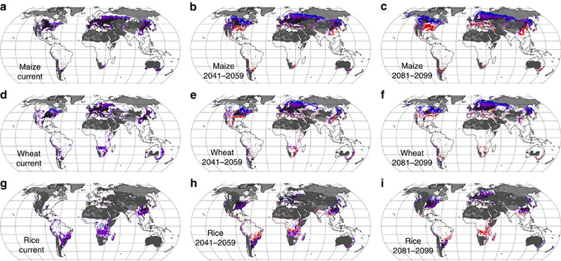 Image: Nature Communications